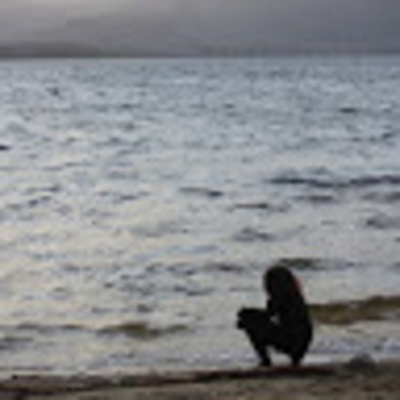 Meet your Posher, Elizabeth - Picture 1 of 1